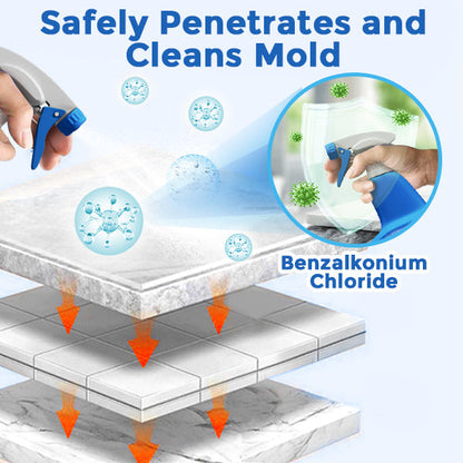 Velorandt® Super Clean Mold & Mildew Stain Remover